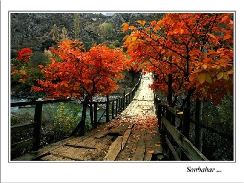 Autumn bridge over river
