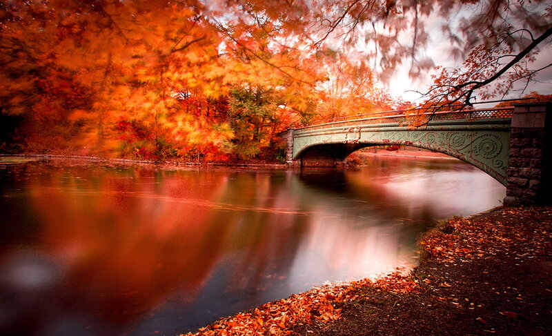 Autumn Bridge over River — Orange, Serene, Photograph