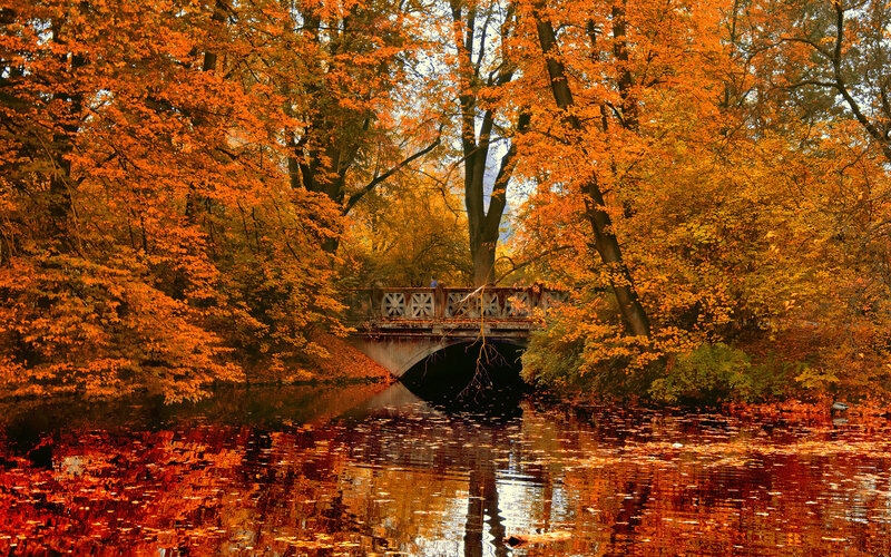 Autumn Bridge over River — Orange, Serene