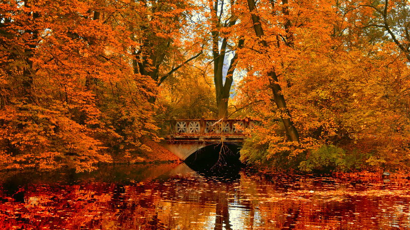 Autumn Bridge over River — Orange