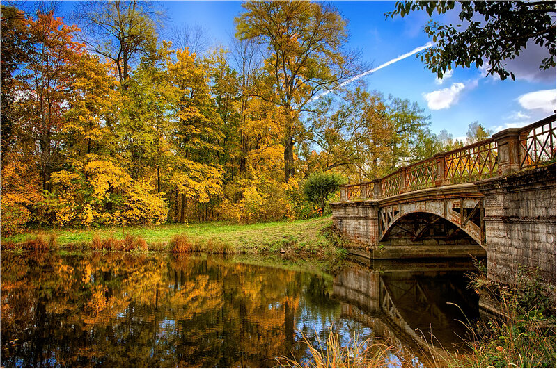 Autumn Bridge over River — Yellow, Serene