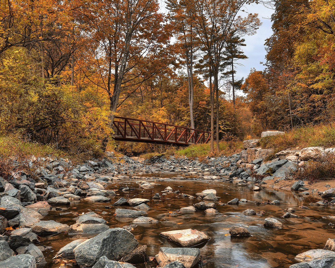 Autumn bridge over rocky stream