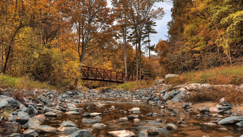Autumn bridge over rocky stream