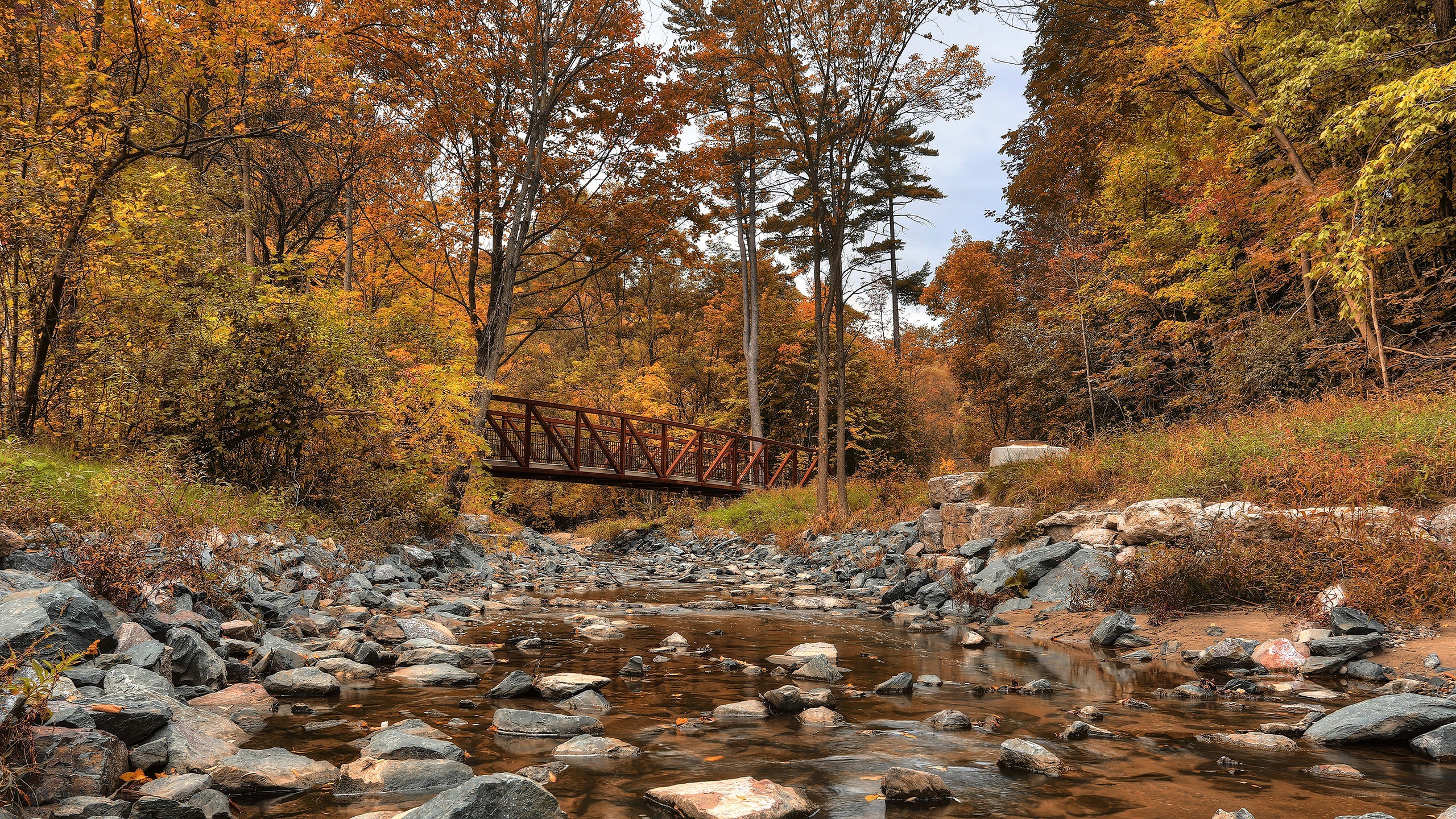 Autumn bridge over rocky stream