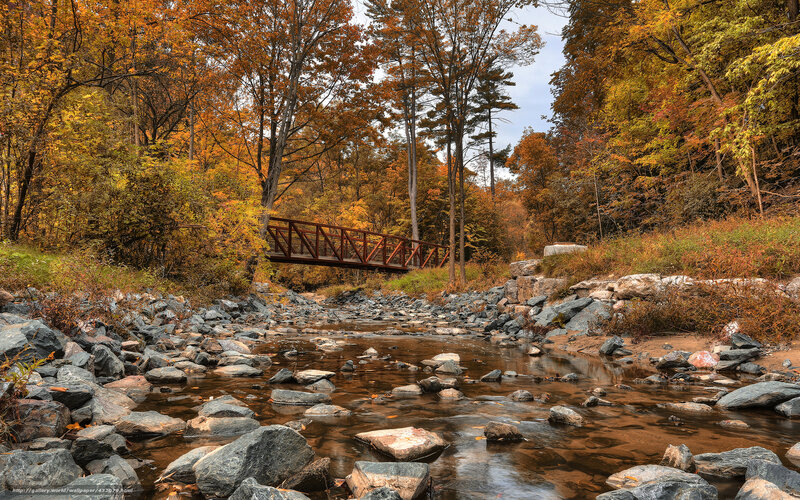 Autumn bridge over stream