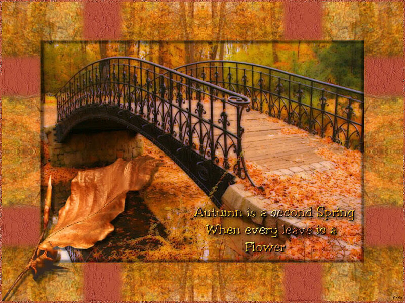Autumn Bridge Scene