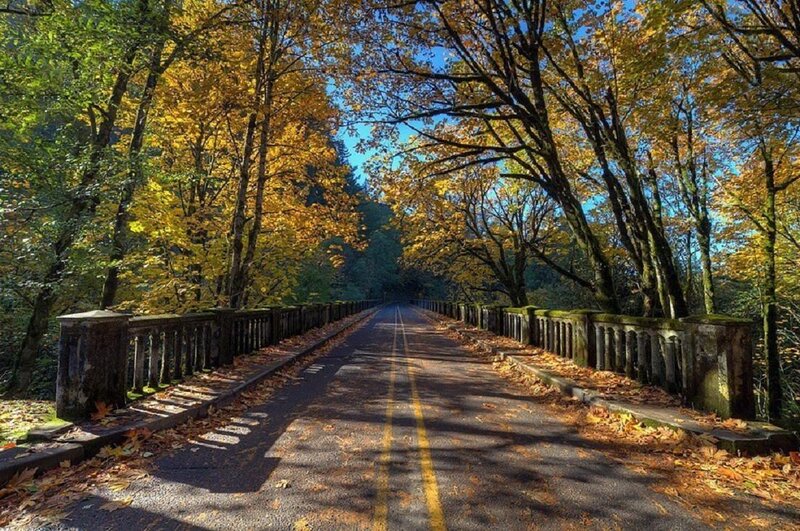 Autumn Bridge with Leaves