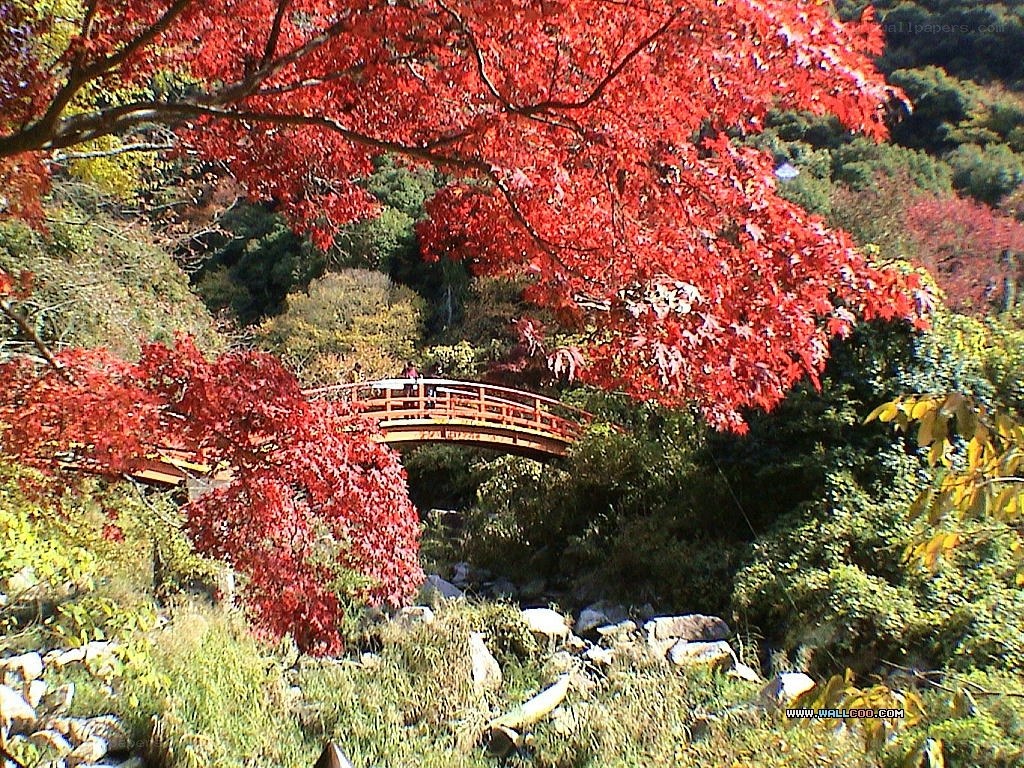 Autumn bridge with red leaves