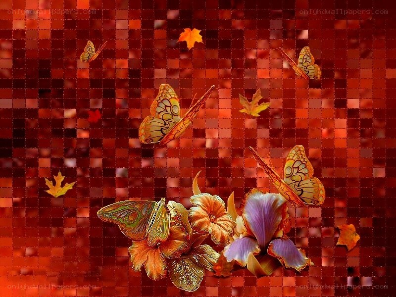Autumn butterflies and flowers
