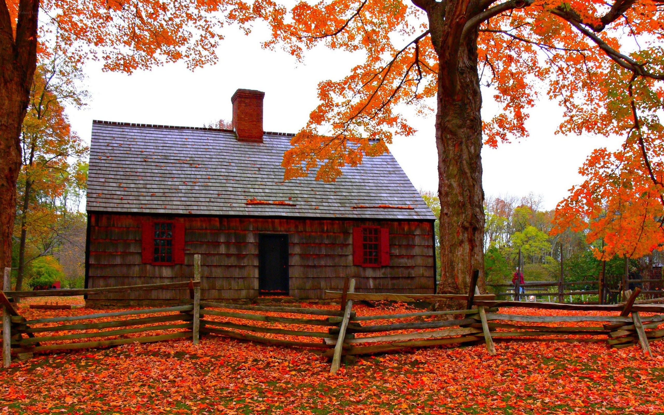 Autumn cabin in fall foliage