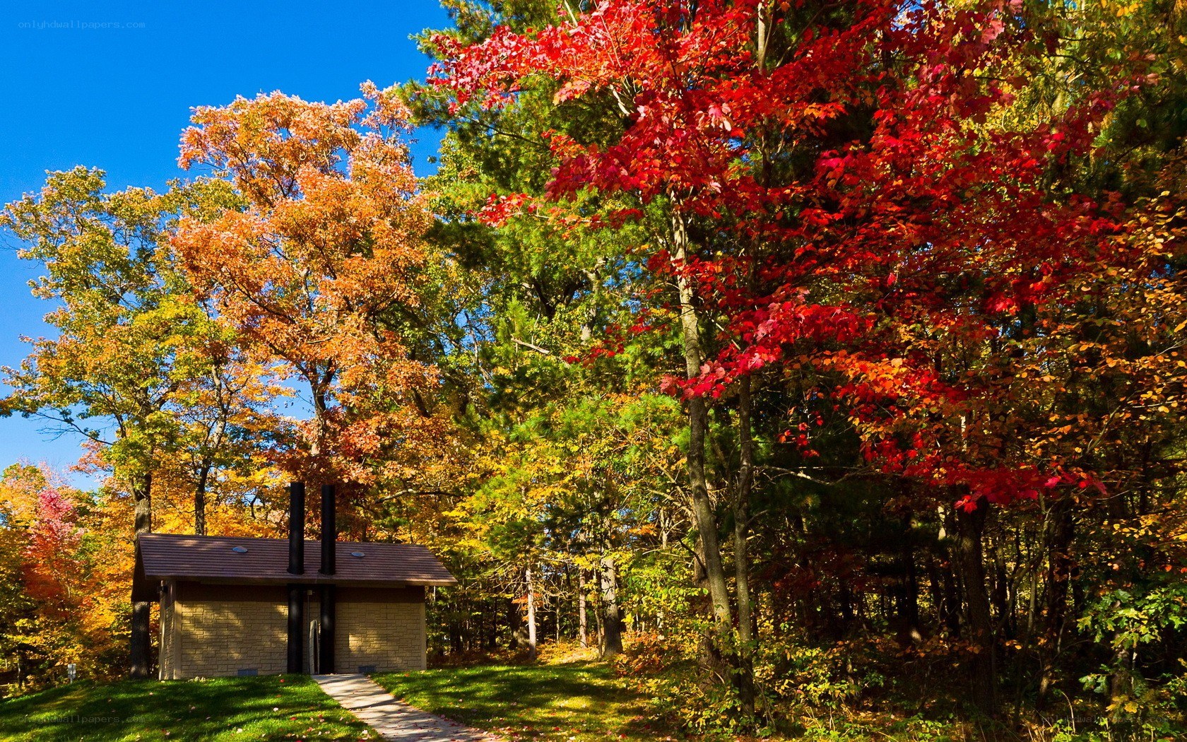 Autumn cabin in forest