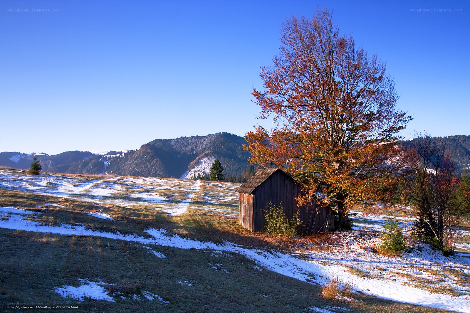Autumn cabin in snowy mountains