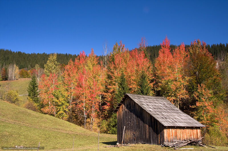 Autumn cabin in the forest