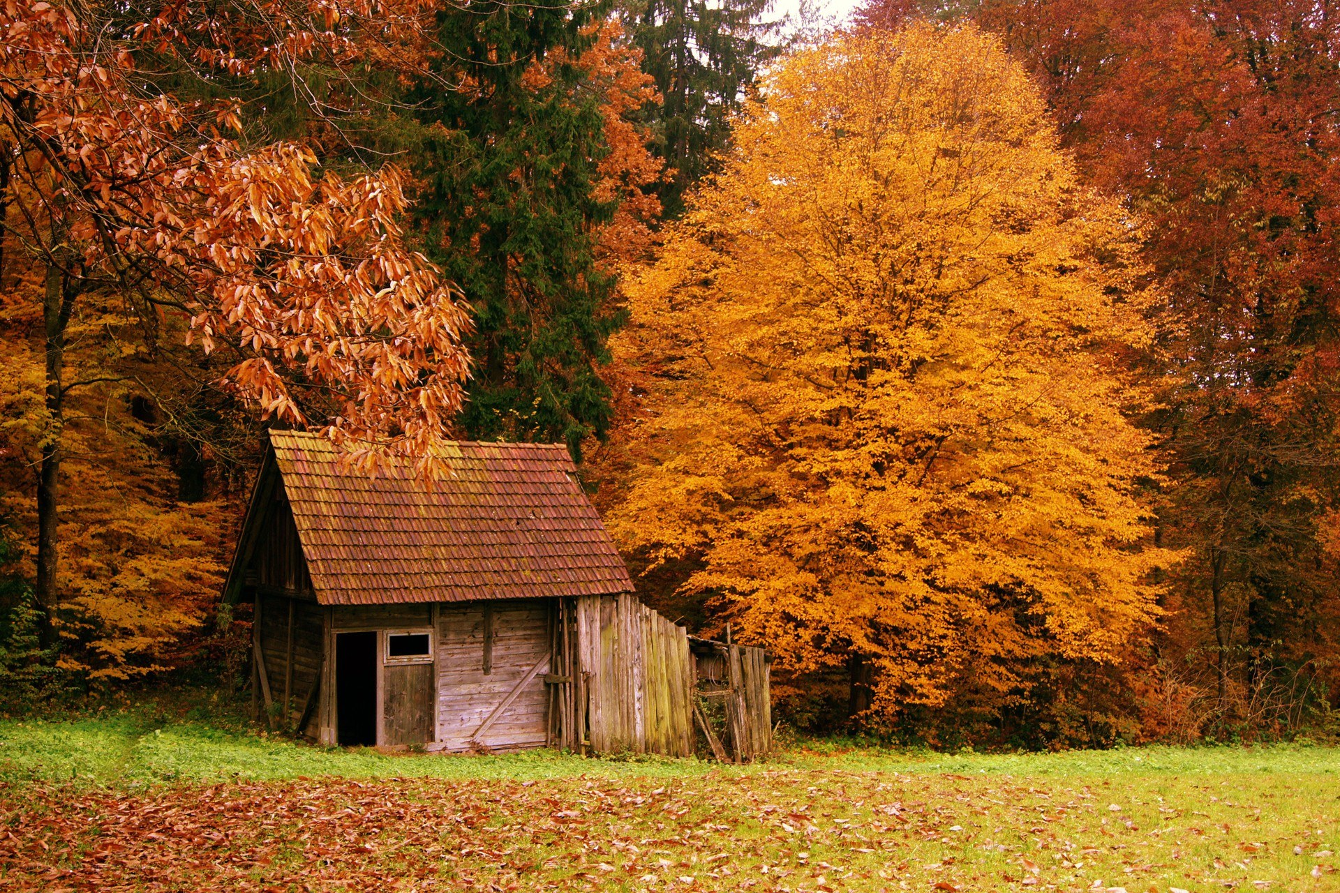 Autumn cabin in the forest