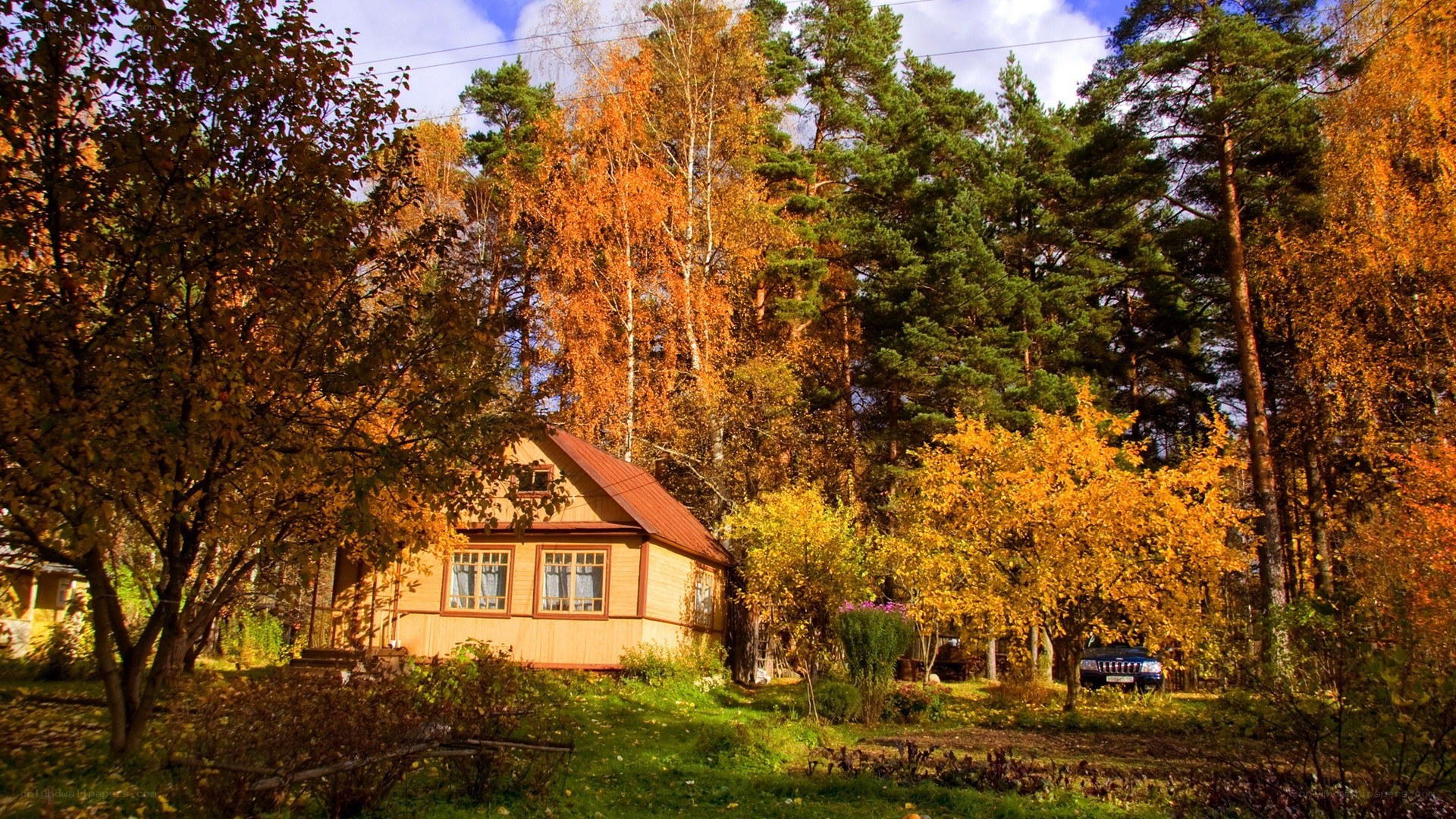 Autumn cabin in the forest