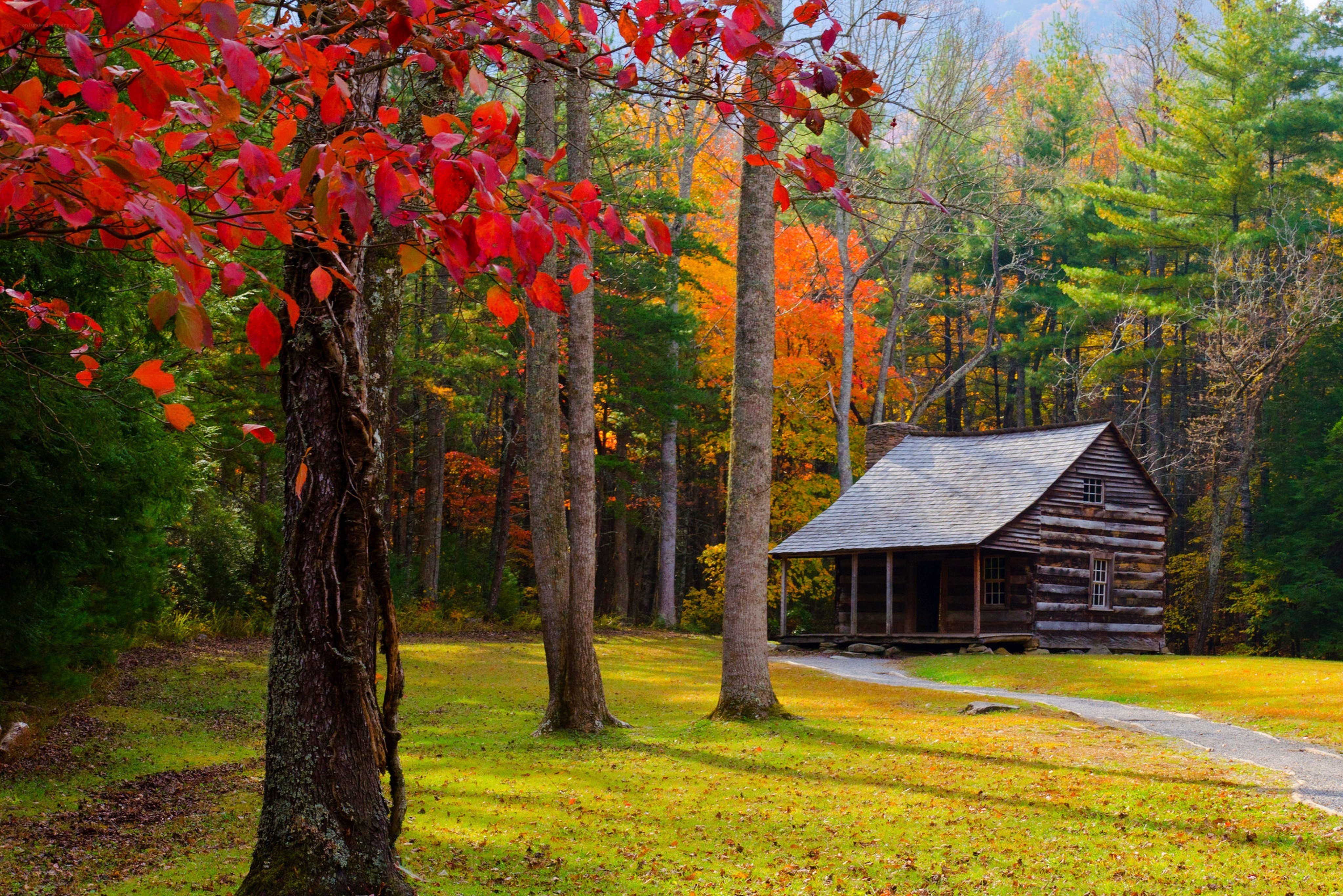 Autumn cabin in the forest