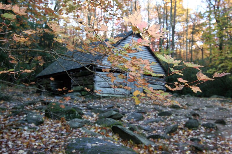 Autumn cabin in the woods