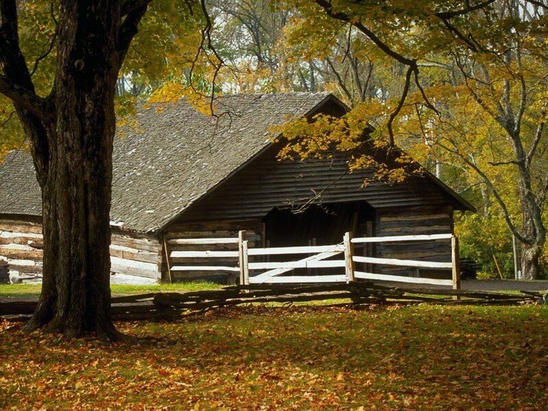 Autumn cabin in the woods