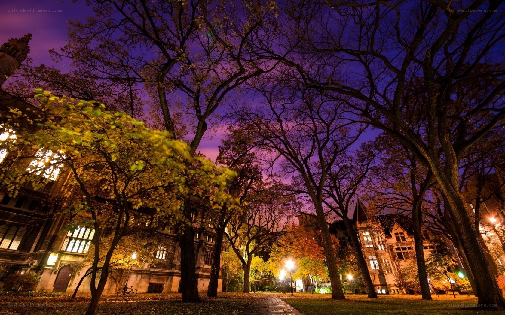 Autumn campus at twilight