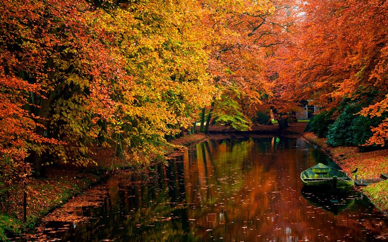Autumn canal with colorful trees
