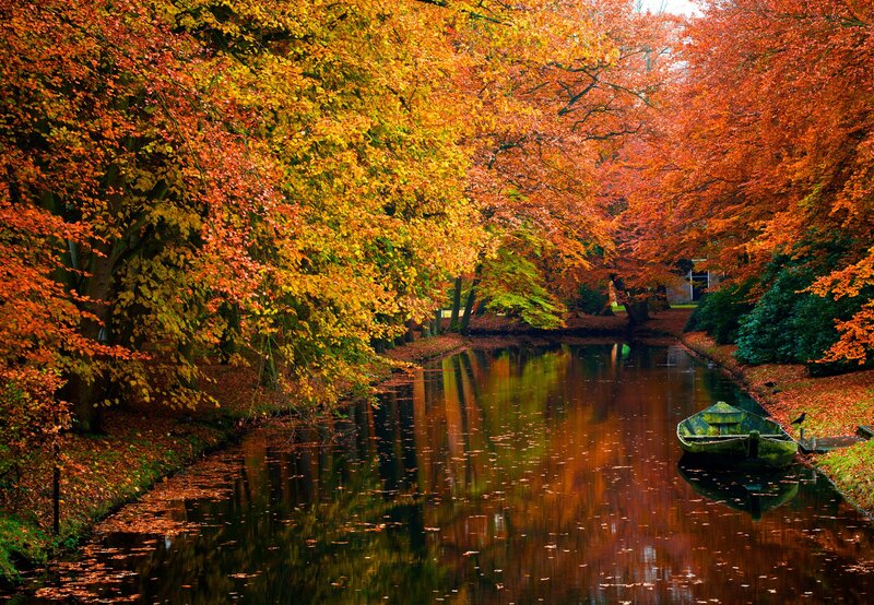 Autumn canal with colorful trees