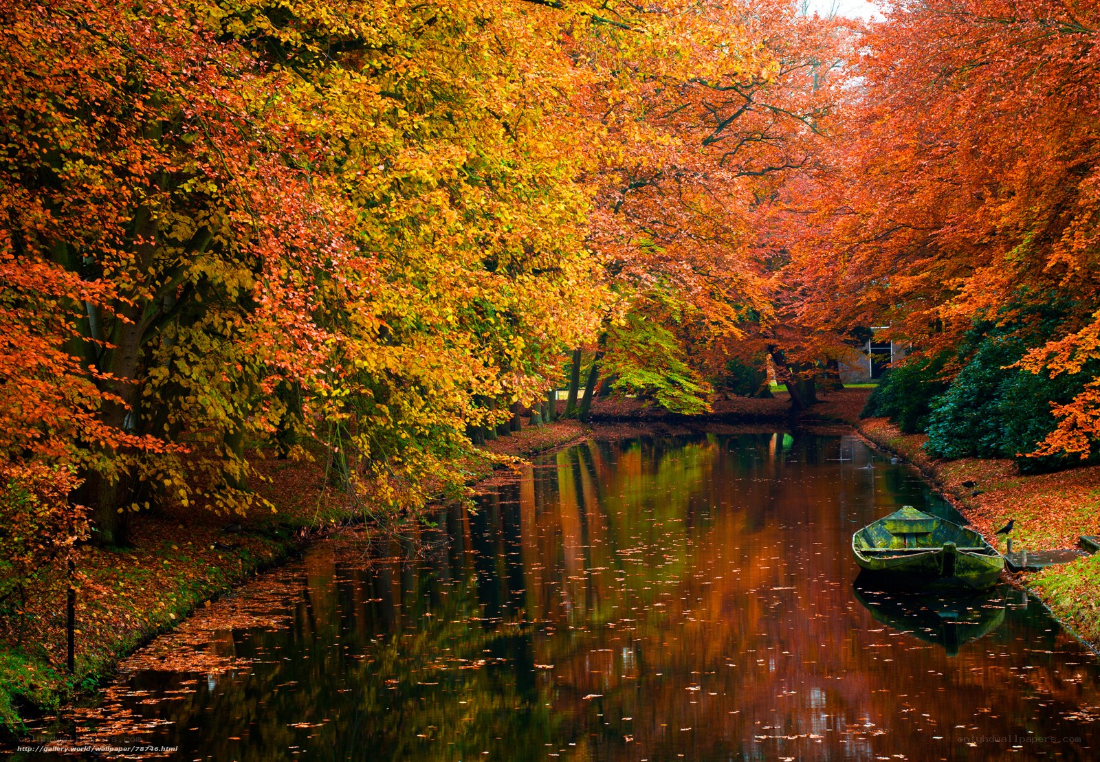 Autumn canal with colorful trees