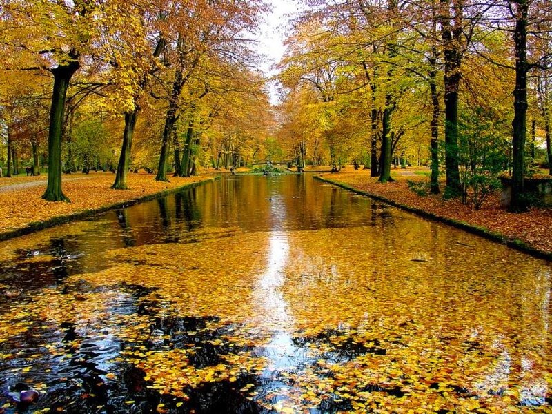 Autumn canal with fallen leaves