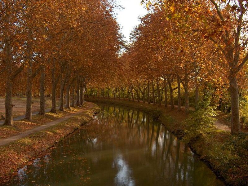 Autumn canal with golden trees