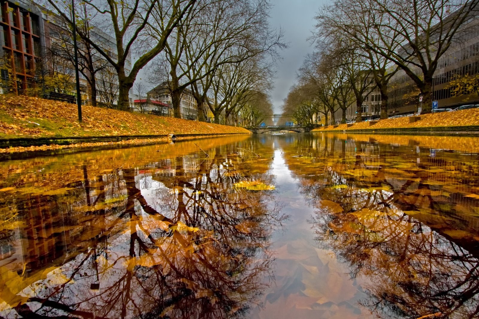 Autumn canal with leaf reflections