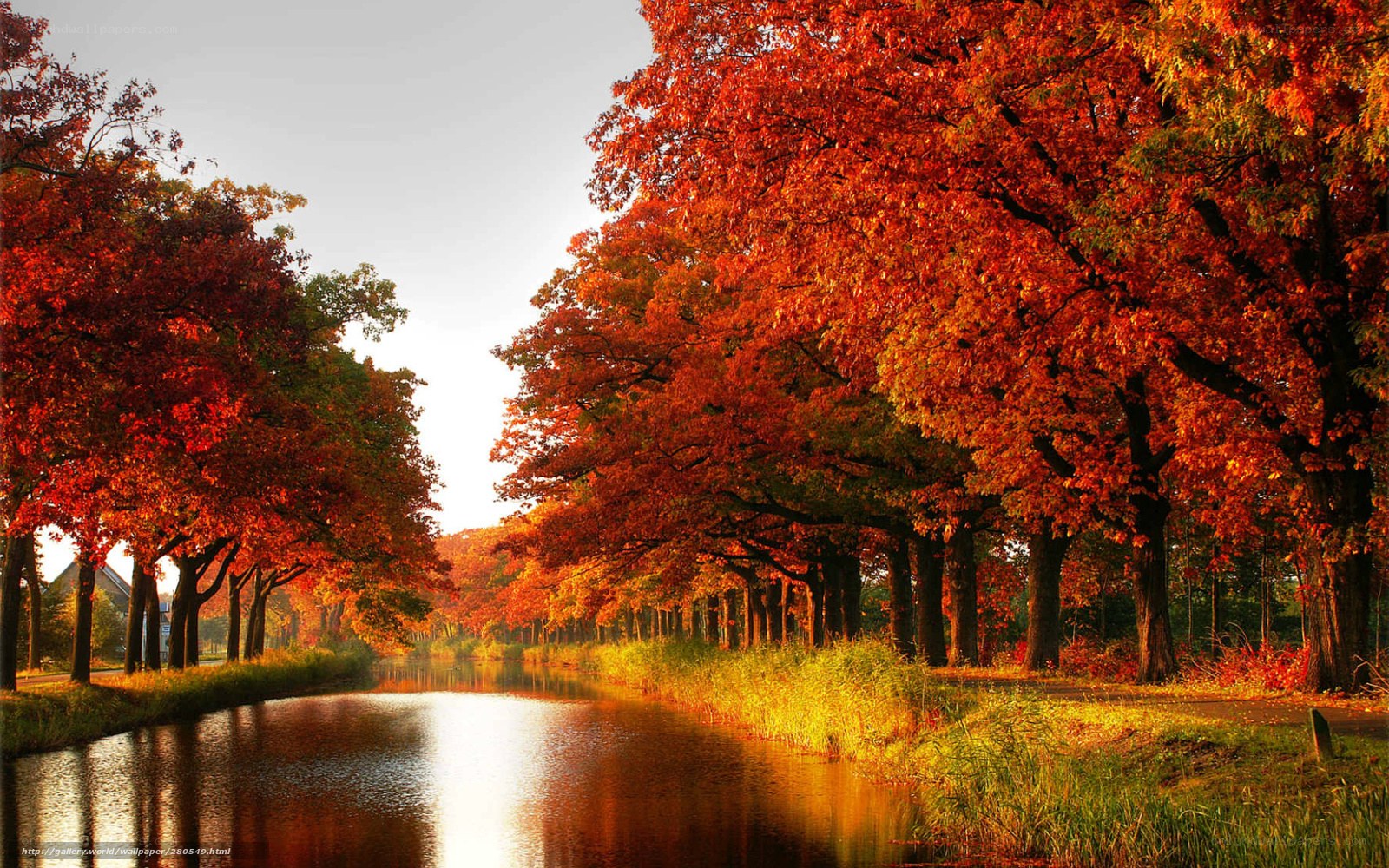 Autumn canal with red trees