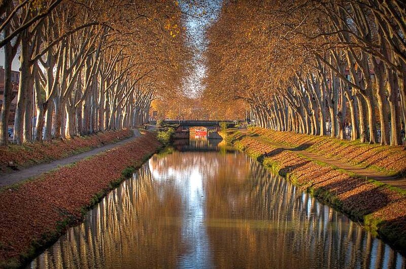 Autumn canal with tree-lined path