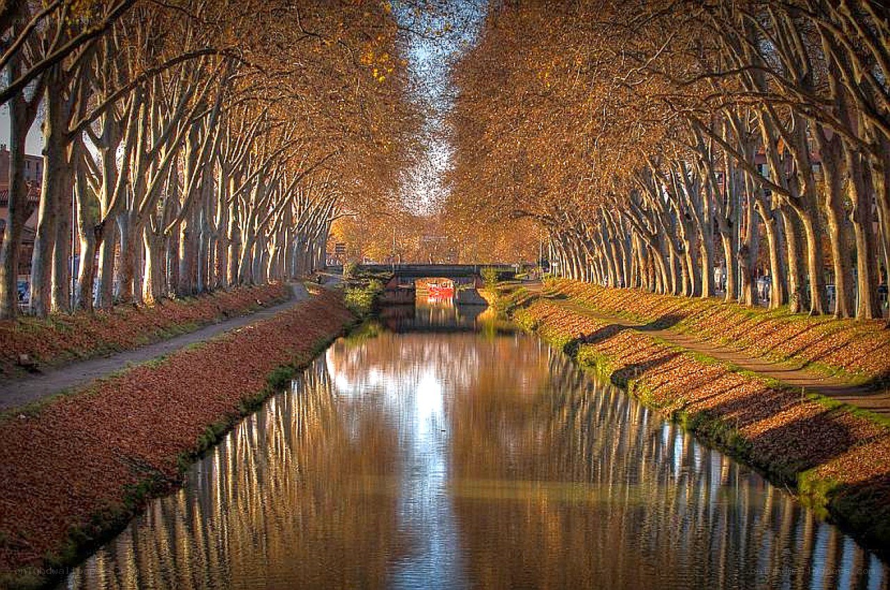 Autumn canal with tree-lined path