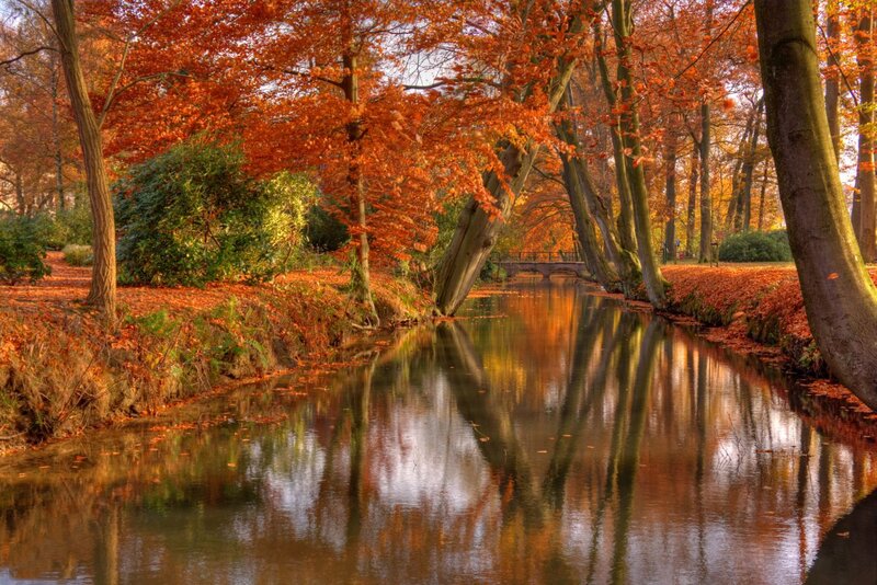 Autumn Canal with Trees — Orange