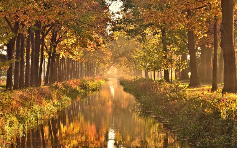 Autumn Canal with Trees