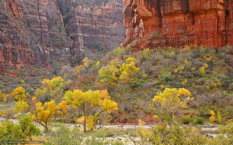 autumn canyon with red rocks