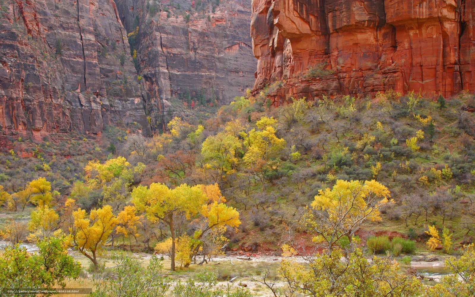 autumn canyon with red rocks