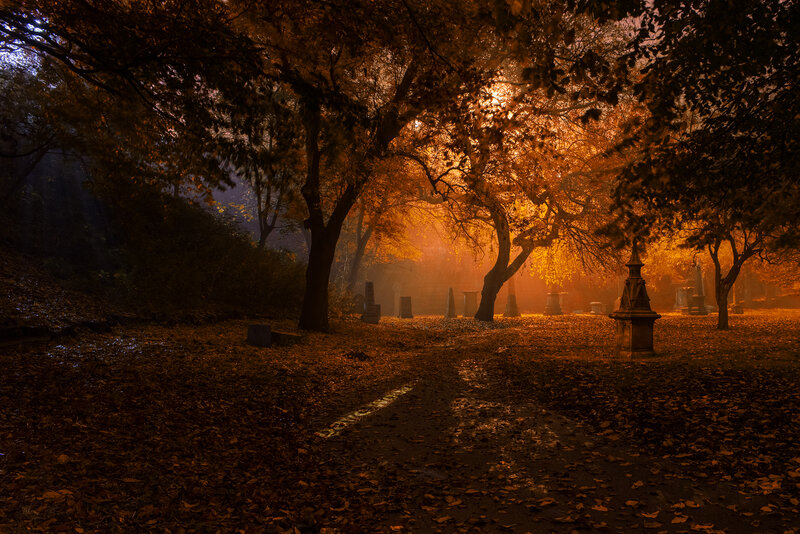 Autumn Cemetery Path