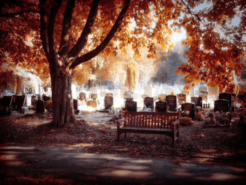 Autumn Cemetery Scene