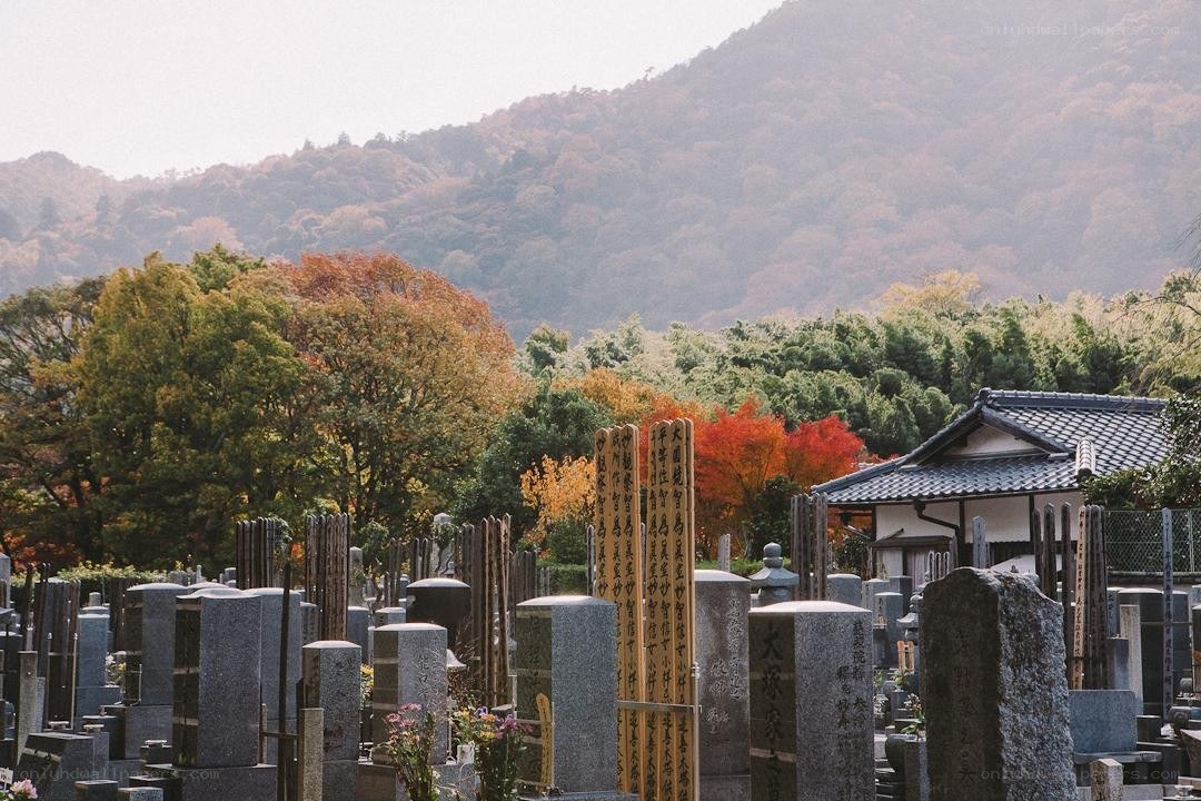 Autumn cemetery with mountain view
