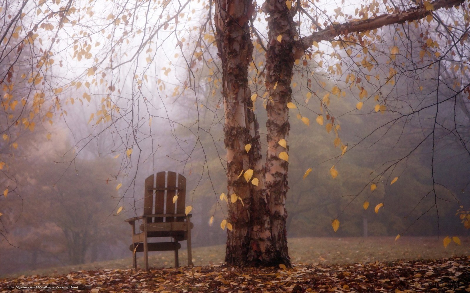 Autumn chair under a tree