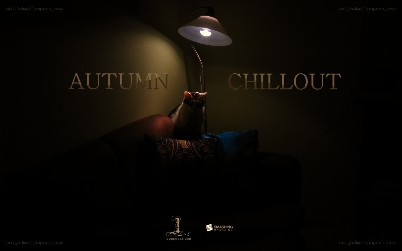 Autumn chillout with cat
