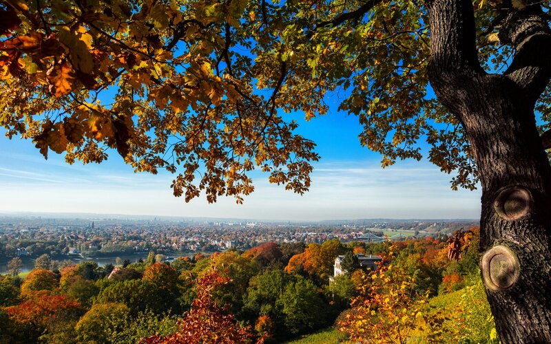 Autumn City View