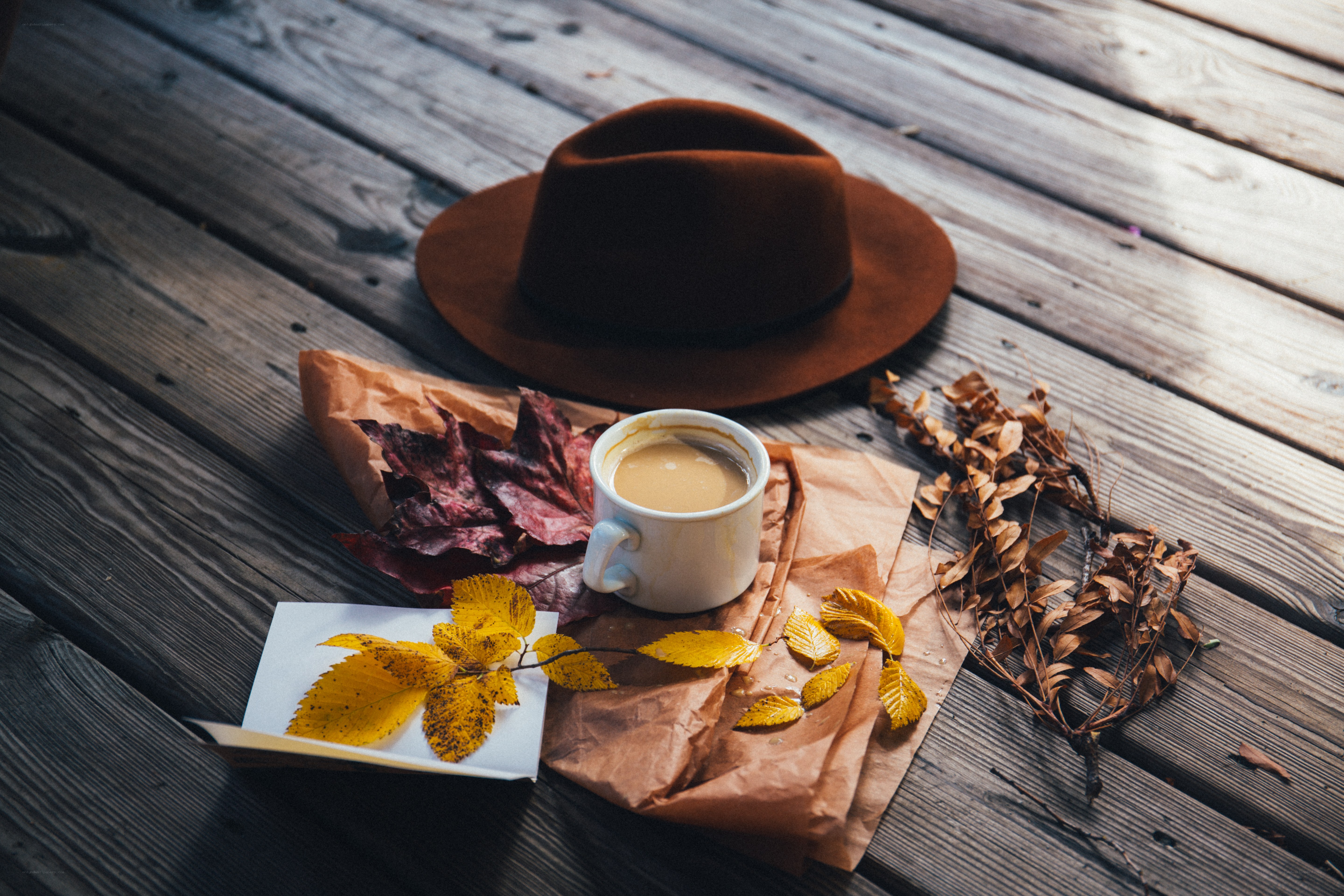 Autumn coffee moment