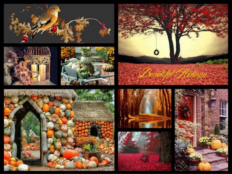 Autumn Collage