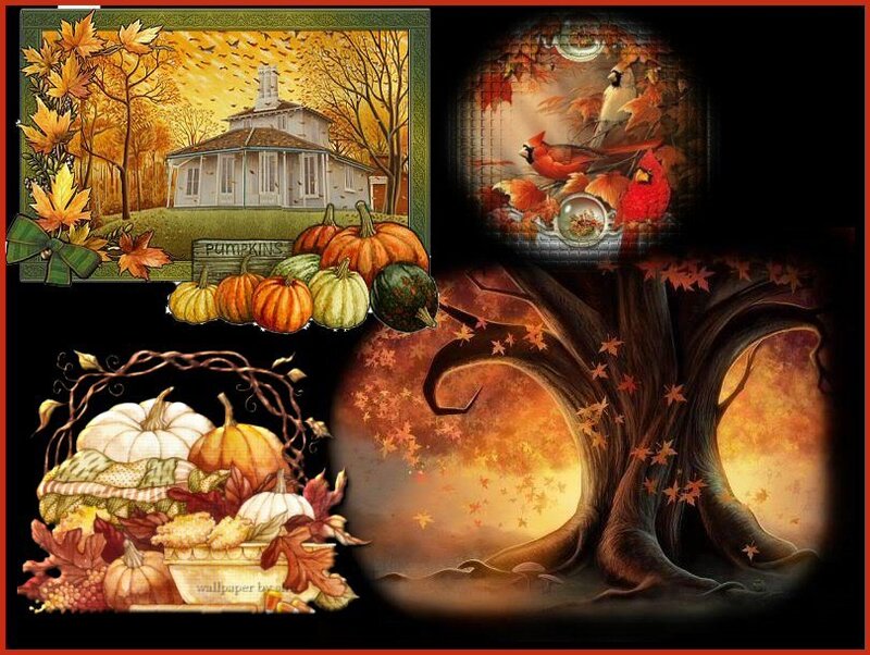 Autumn Collage with Pumpkins — Orange