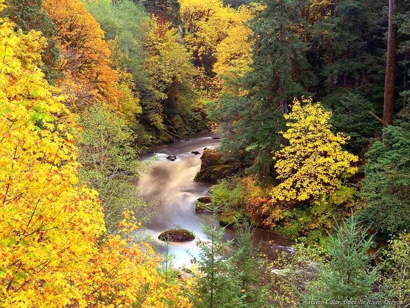 Autumn Color, Coquille River