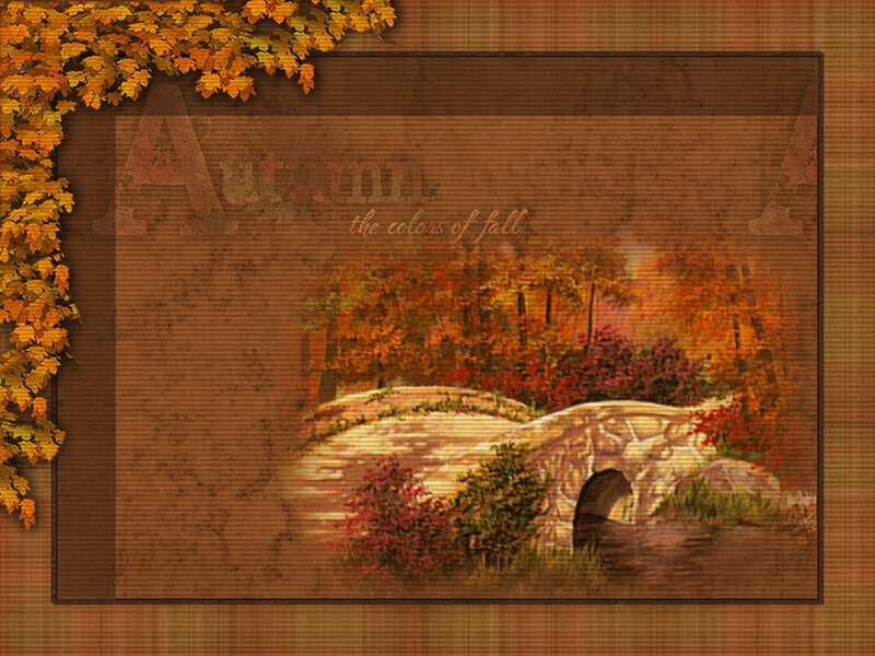 Autumn colors of fall