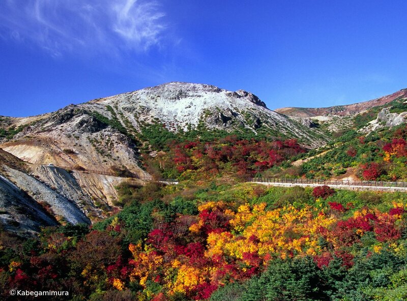 Autumn colors on a mountain
