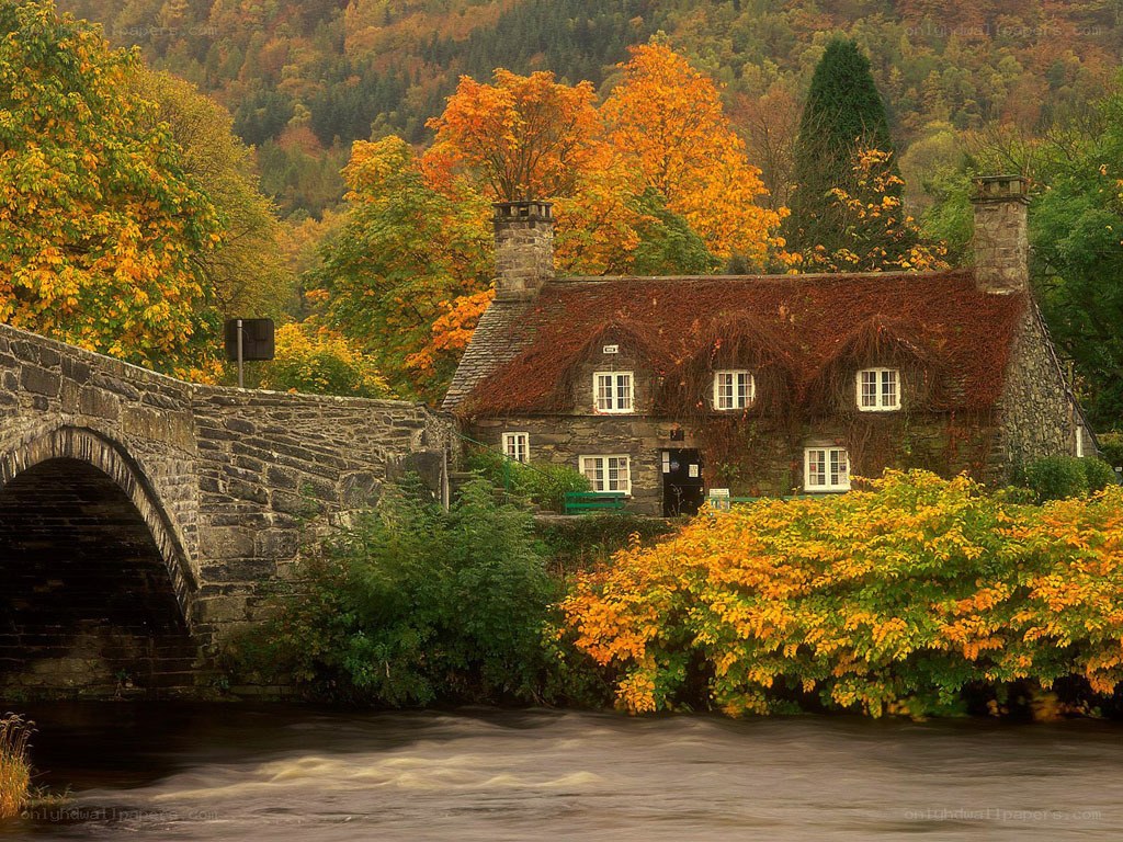 Autumn cottage by river