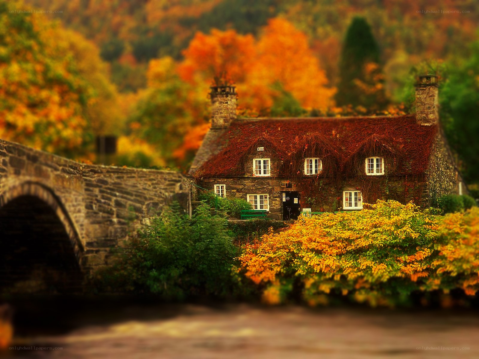 Autumn cottage by stone bridge